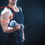肩（三角筋）を発達させる方法！