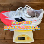 NB フューエルセルコンプエリートV4 のレビュー。