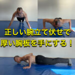 厚い胸板の作り方 〜基礎編〜