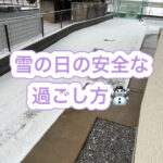 雪の日にタダでは転ばない作戦！！